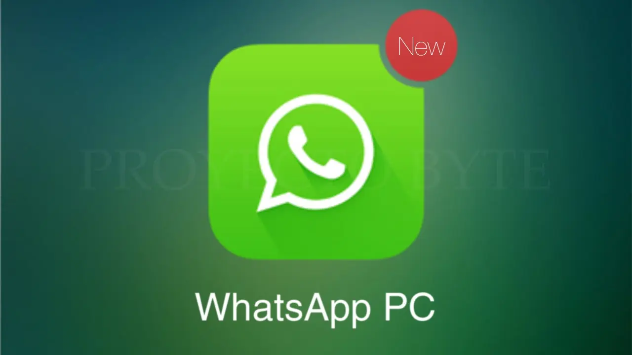 whatsapp hack