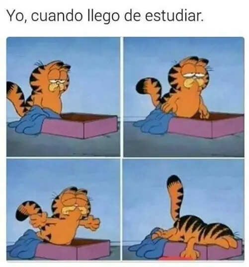 Megapost de imágenes de Humor para este fin de Semana