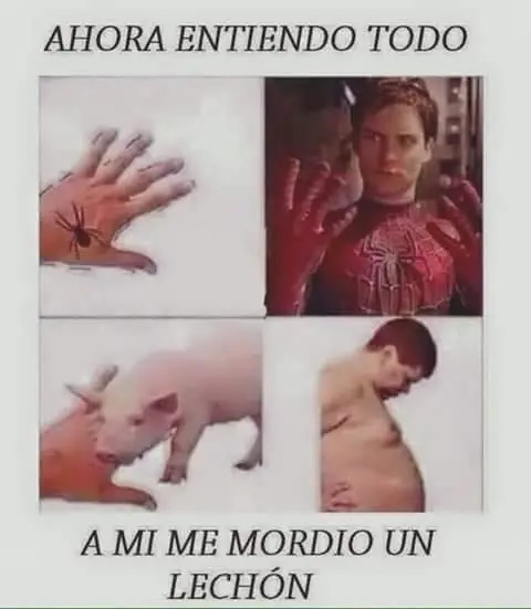 conestas