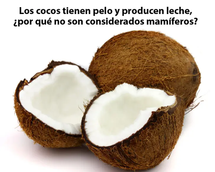 Ciencias