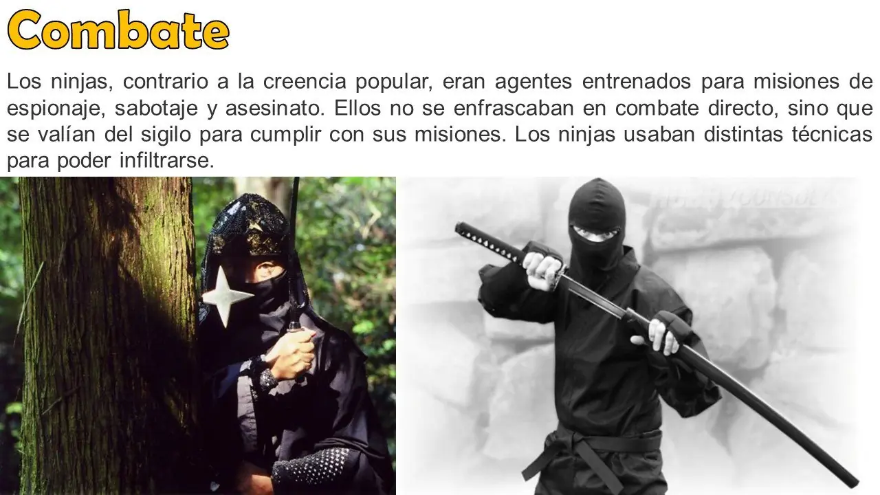 curioseadores
