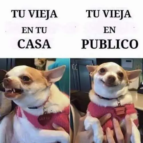 memes