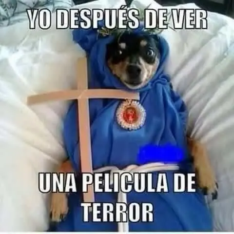 Megapost de imágenes de Humor para este fin de Semana