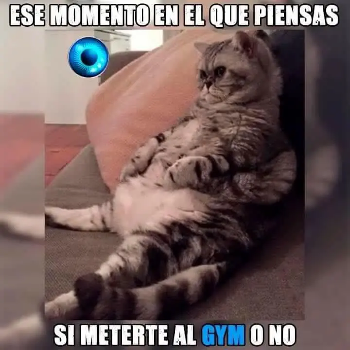 Megapost de imágenes de Humor para este fin de Semana