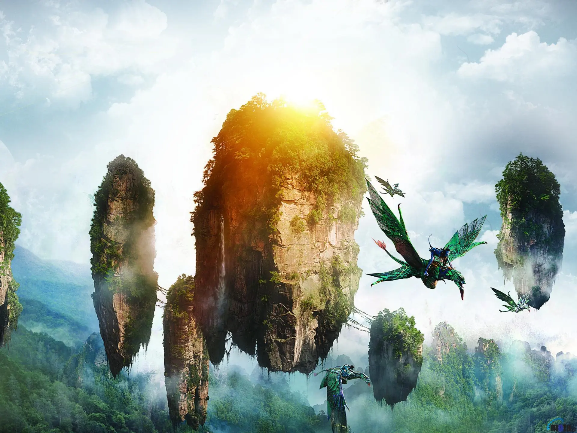 avatar