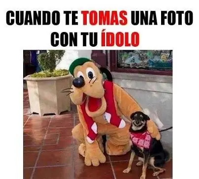 imagenes