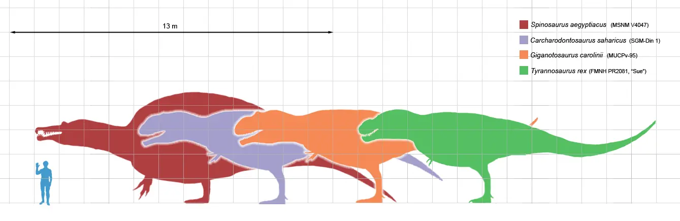 Los Dinosaurios Carnivoros Más Grandes Del Mundo