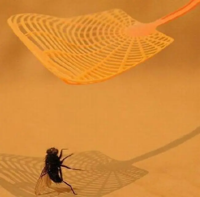 Imágenes capturadas en el momento exacto antes del desastre