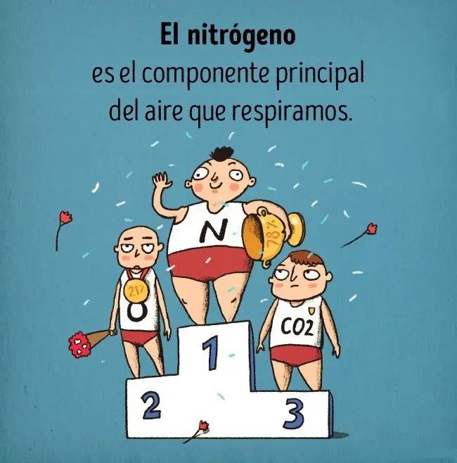 imagenes divertidas