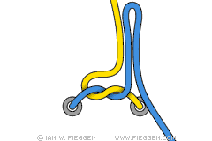 cordones cordones
