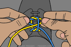 cordones cordones