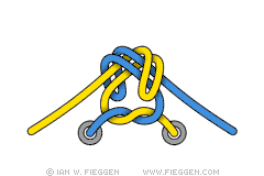 cordones cordones