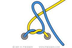 cordones cordones