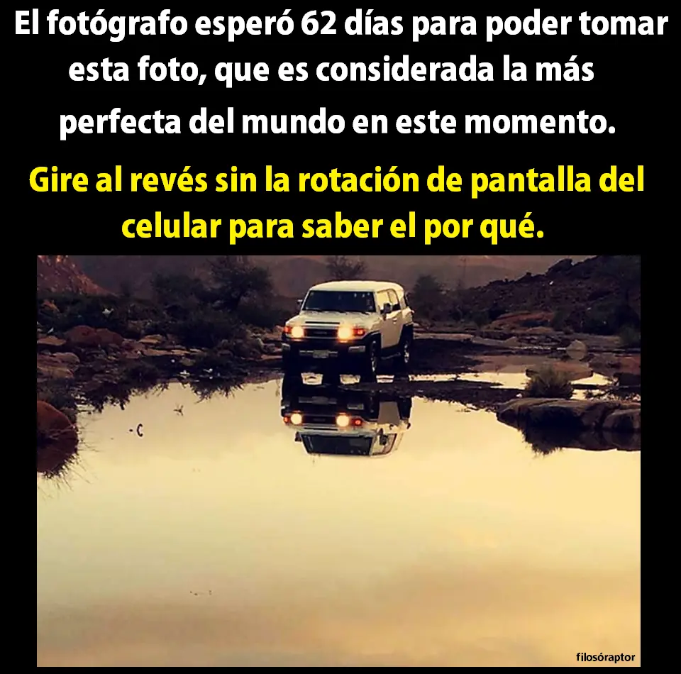 humor