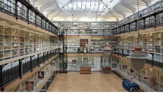 museos raros