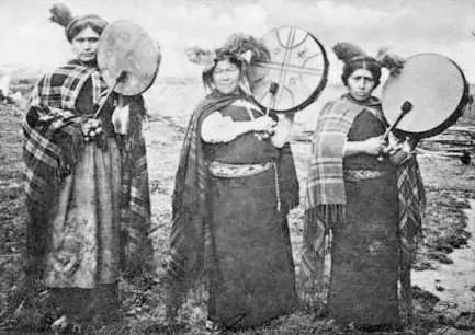 mapuche mapuche