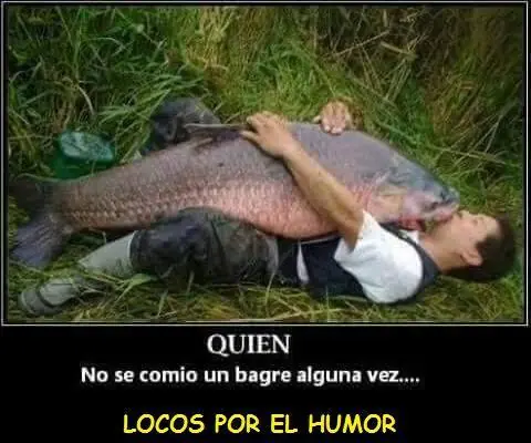 entra y reite
