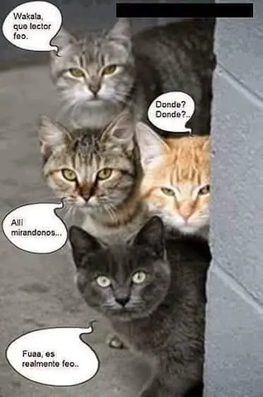 humor de domingo