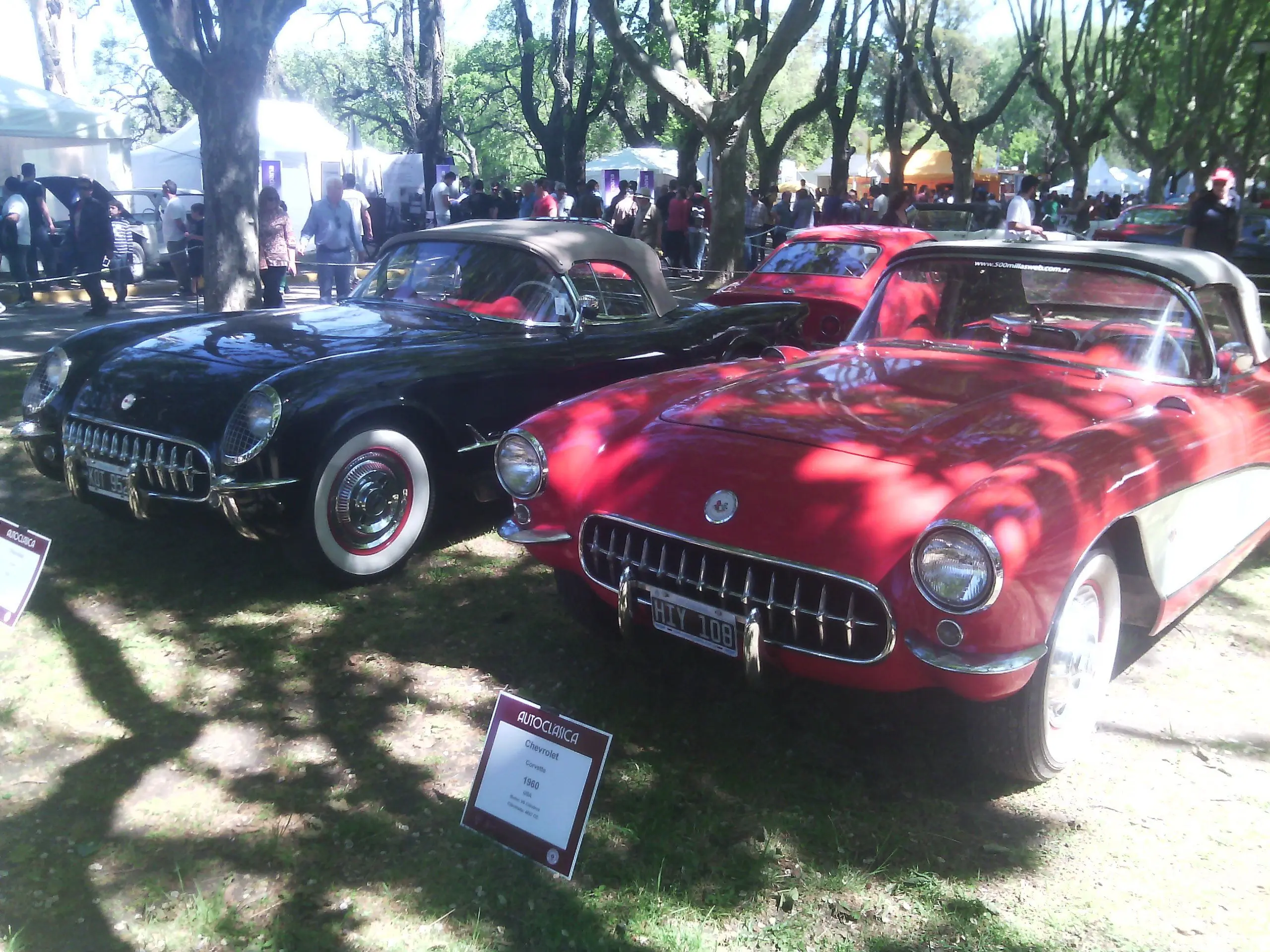 expocicion