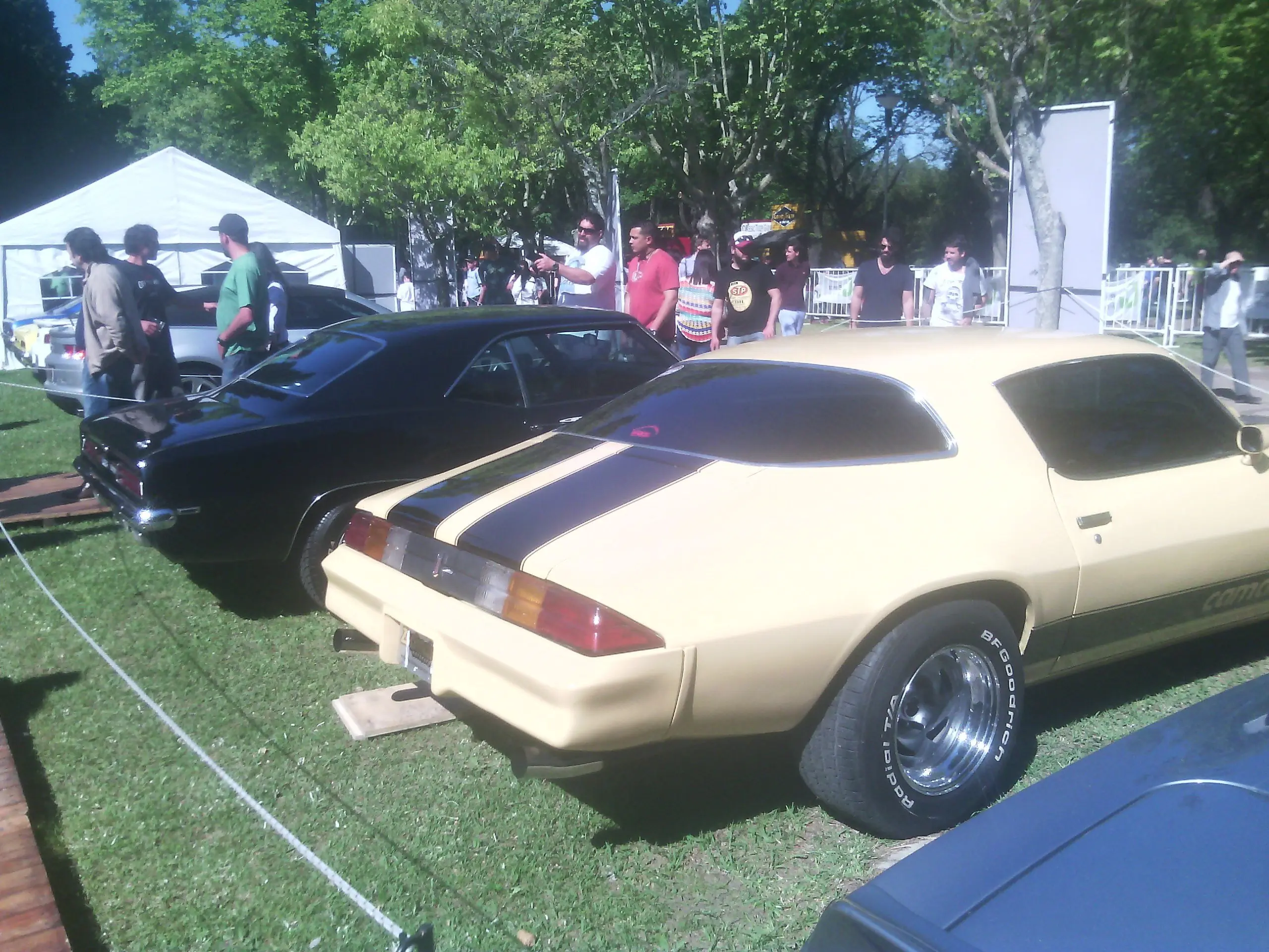 expocicion
