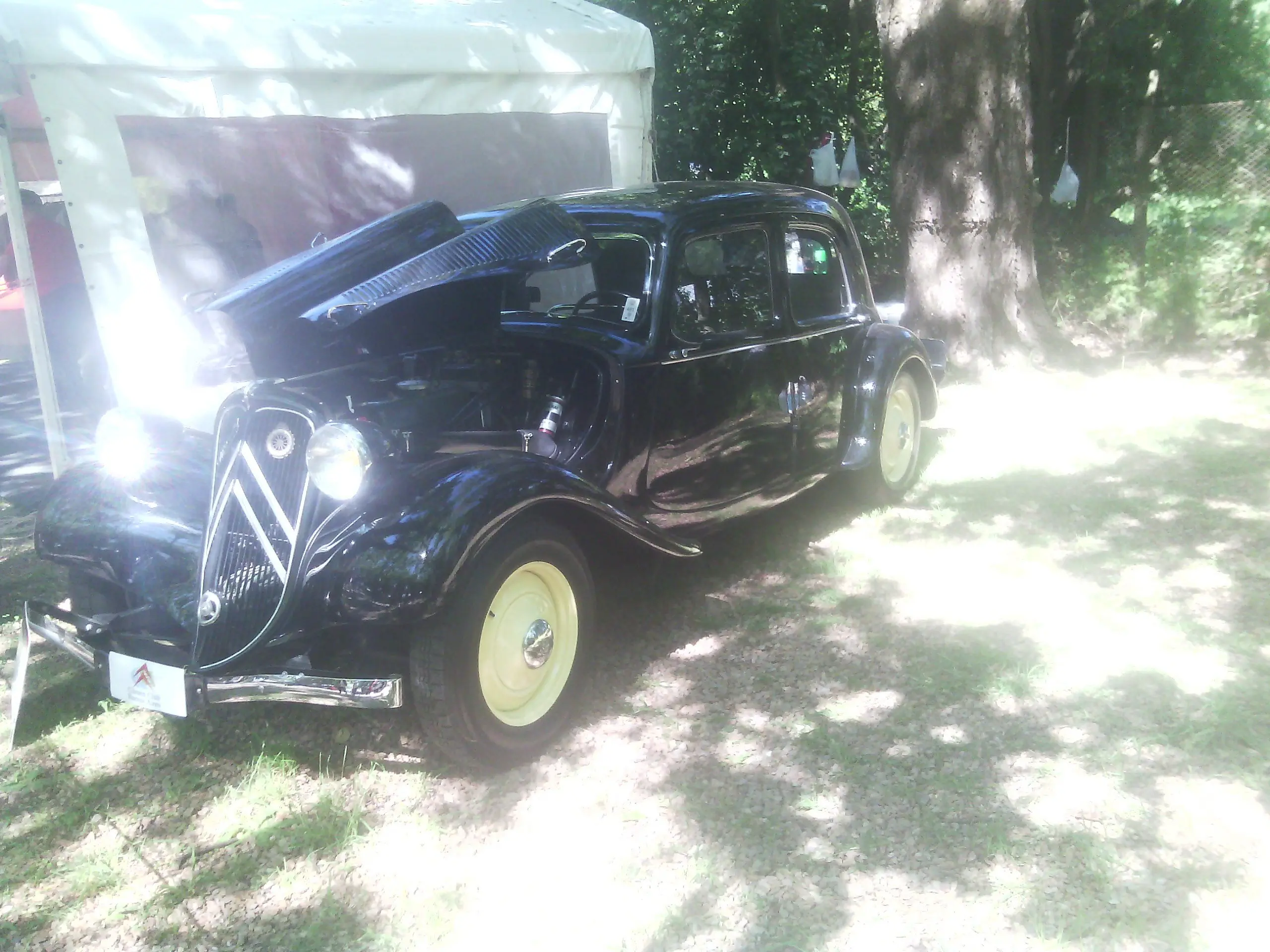 auto