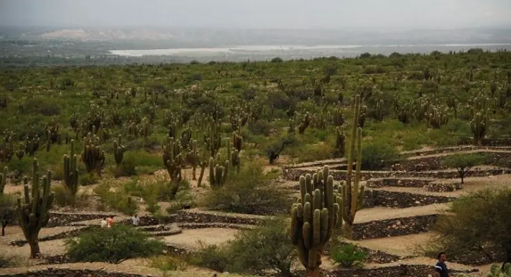 ruinas ruinas