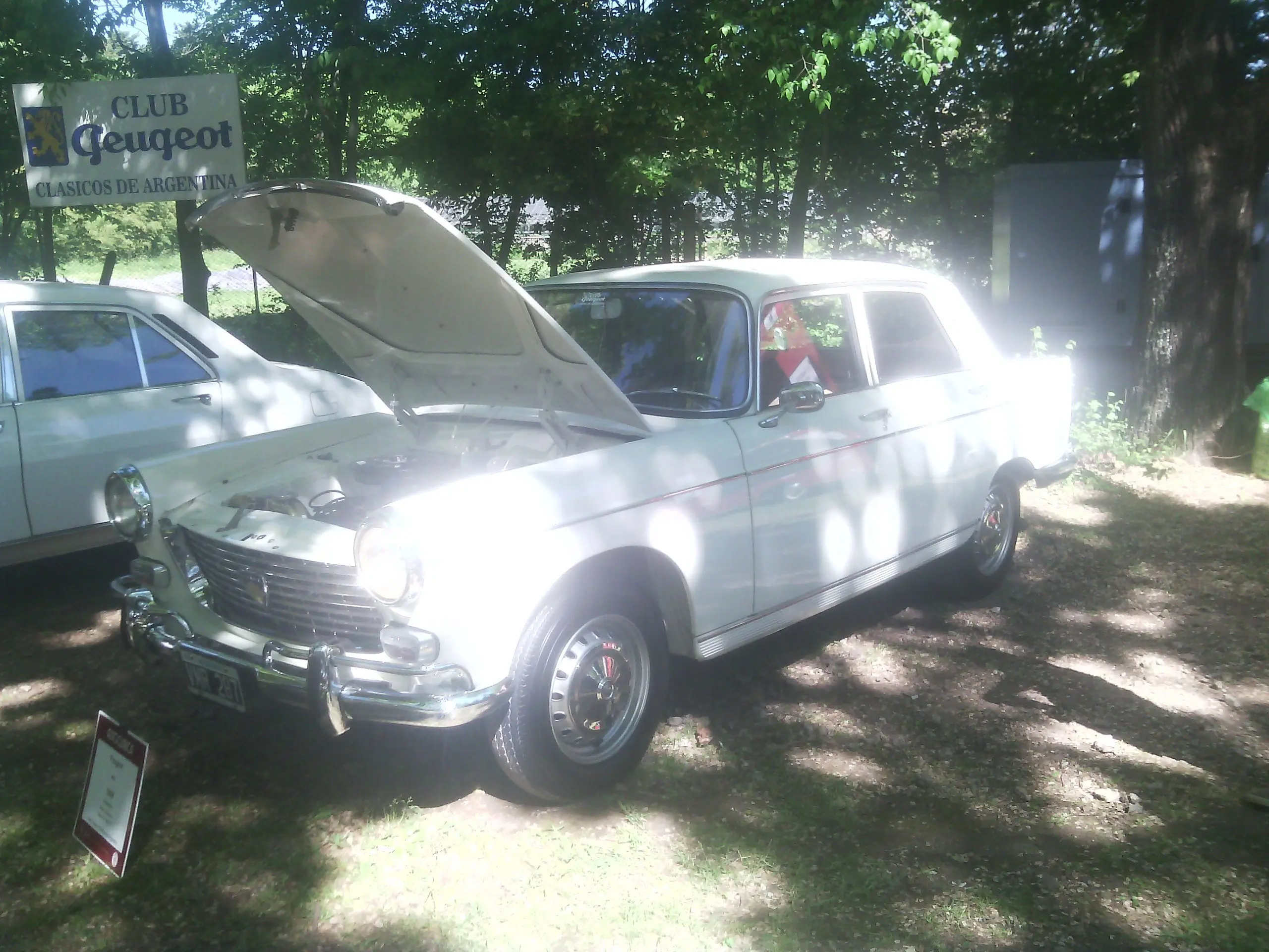 auto