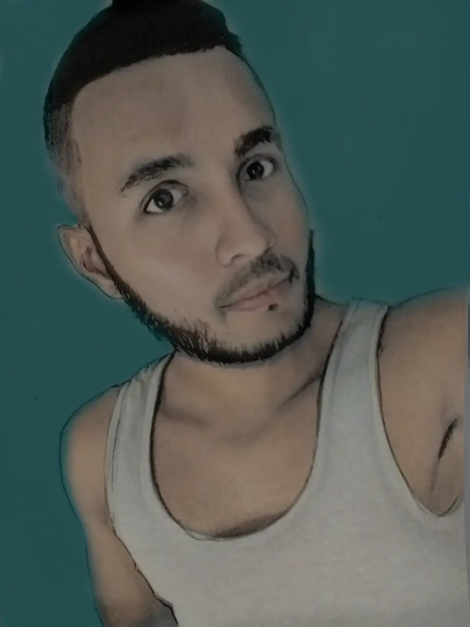 dibujos certificados