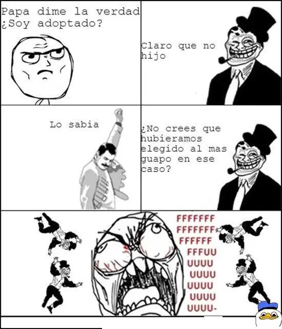 quinta quinta