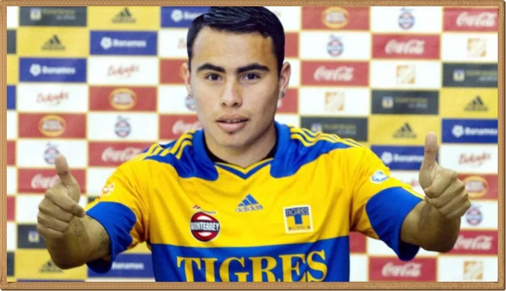 Mercado de pases torneo transición 2016