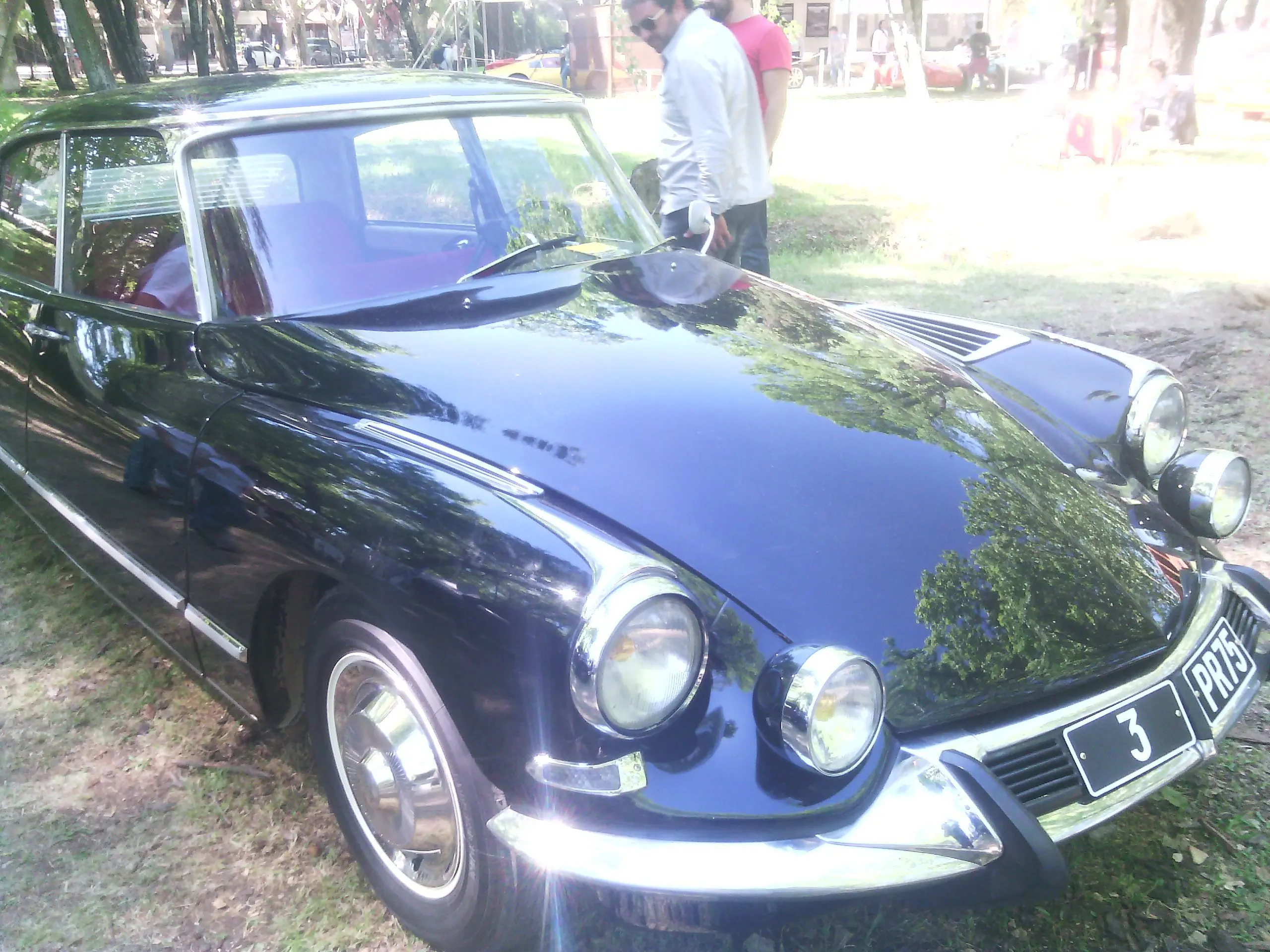 expocicion