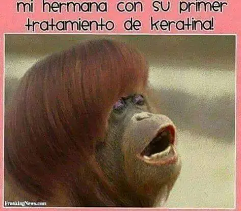 entra y reite
