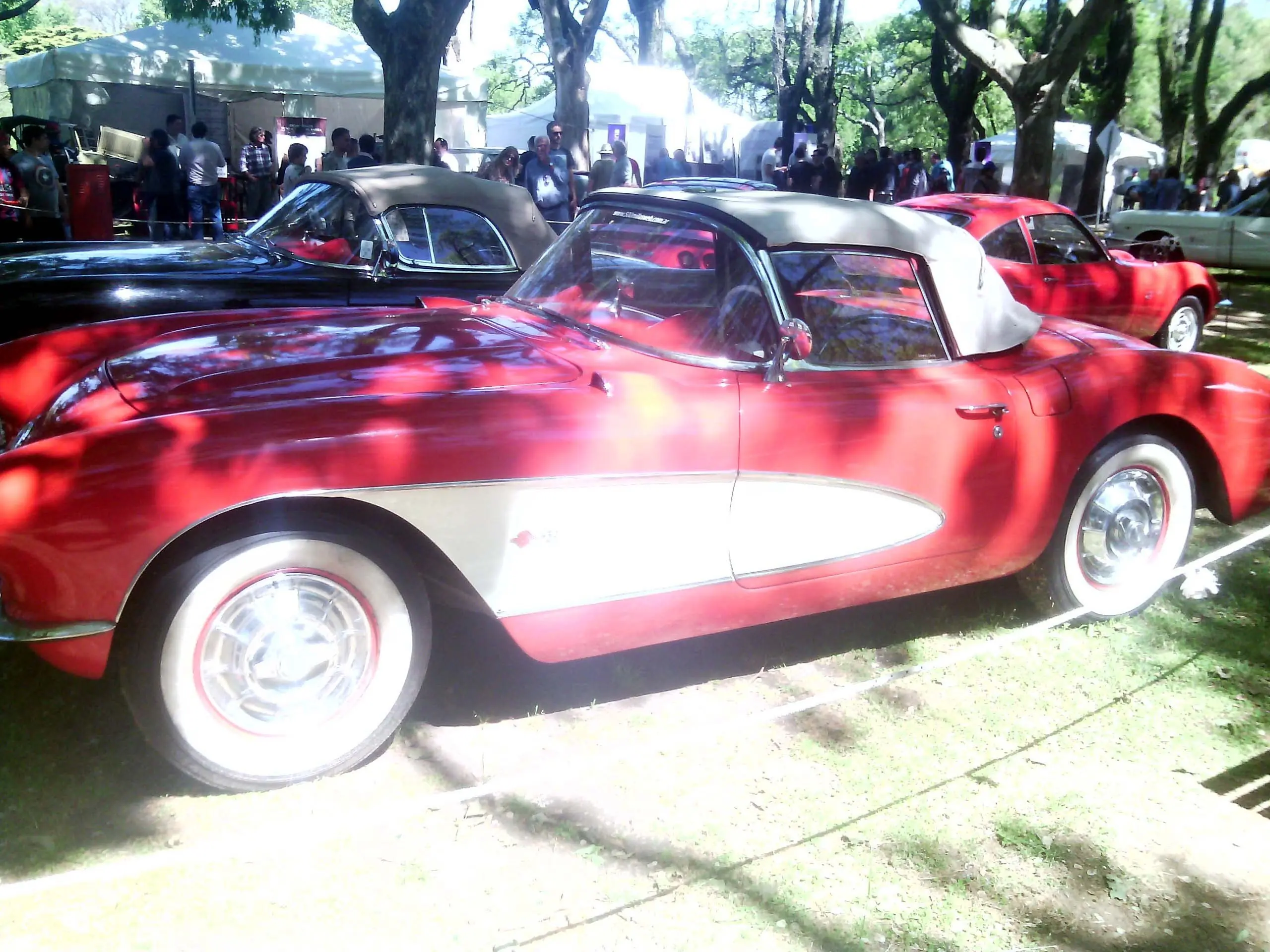 clasica