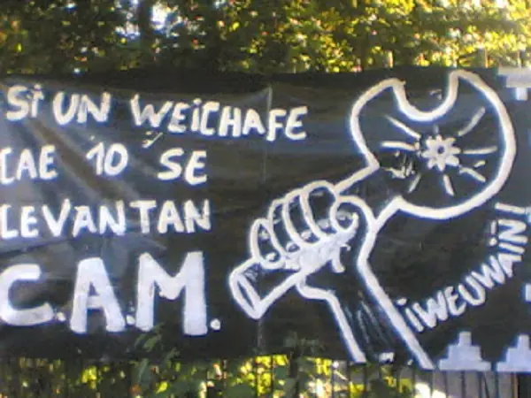 mapuche mapuche