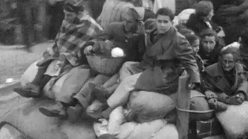 refugiados refugiados