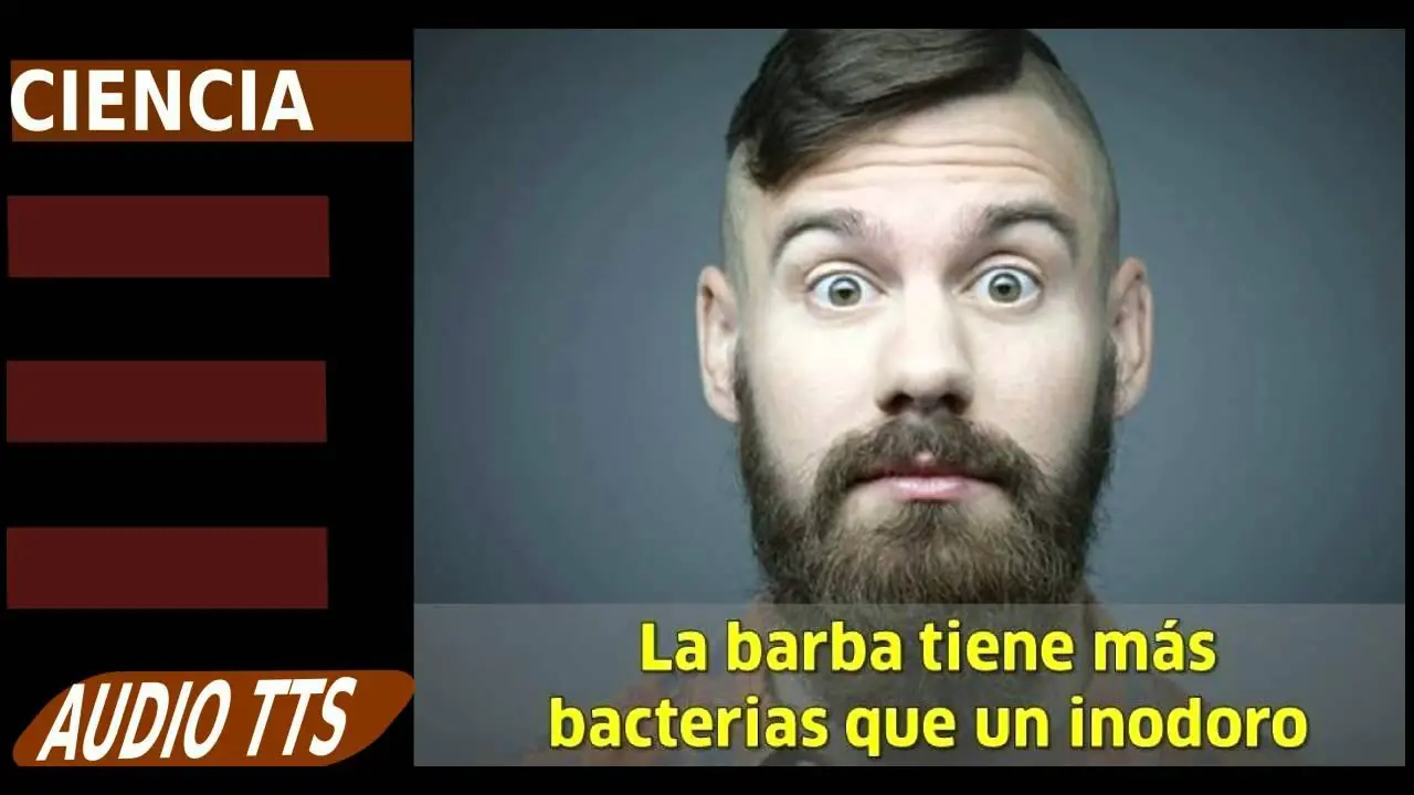 listado