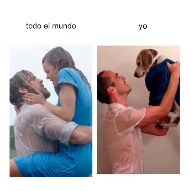 2016