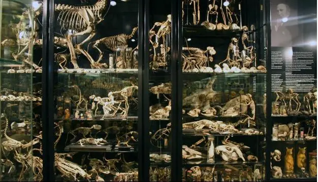 museos macabros