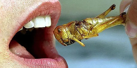 imagenes