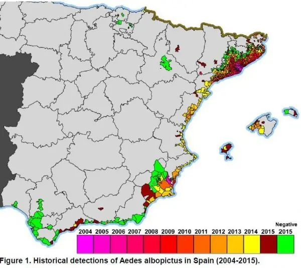 El peligroso mosquito tigre ya ha invadido toda la costa mediterranea espanola