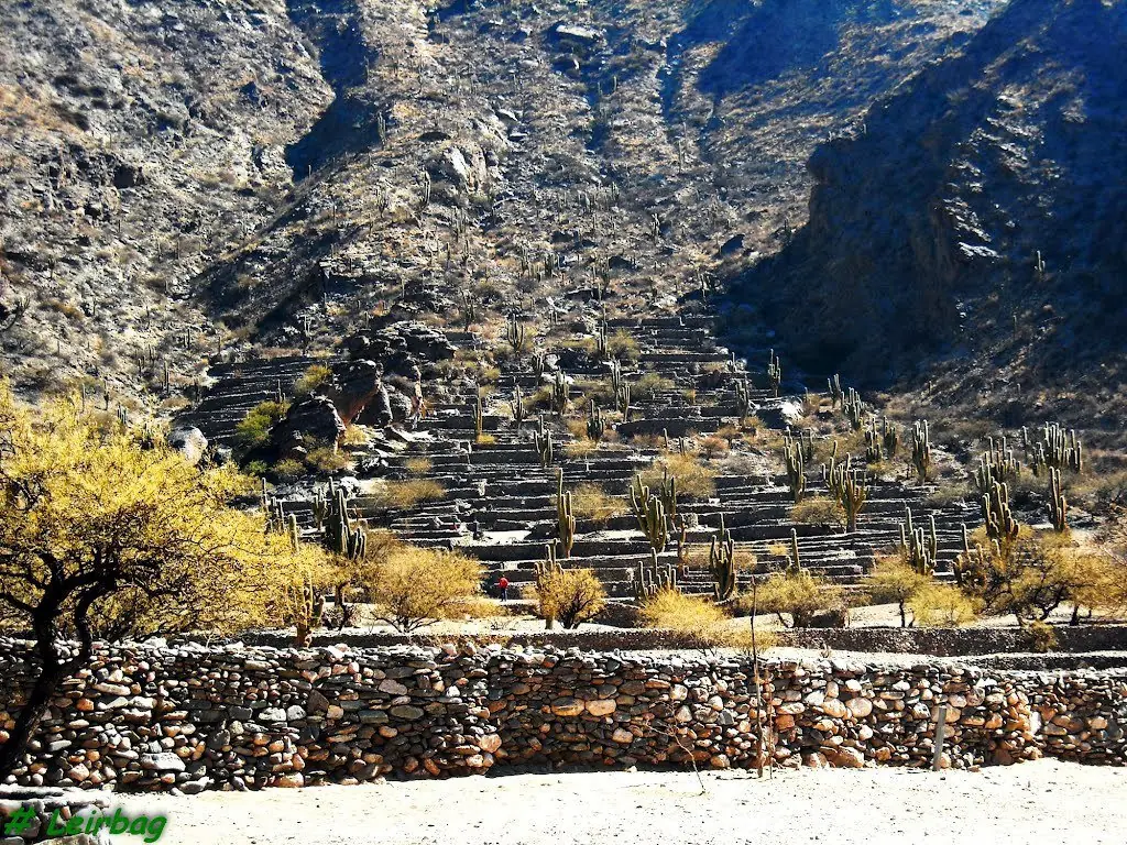 inca inca