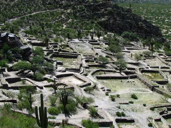 inca inca