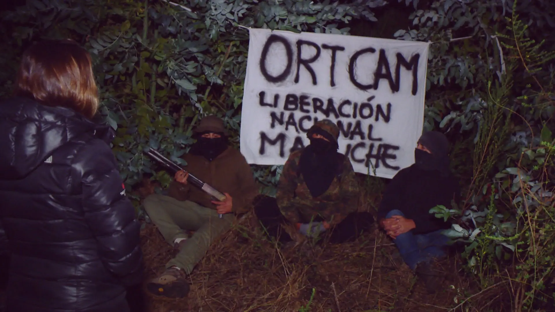 araucania araucania