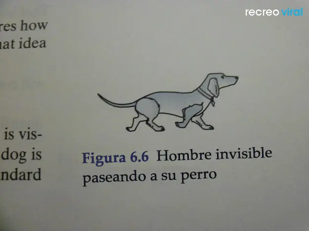 libros