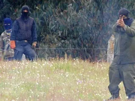 mapuche mapuche