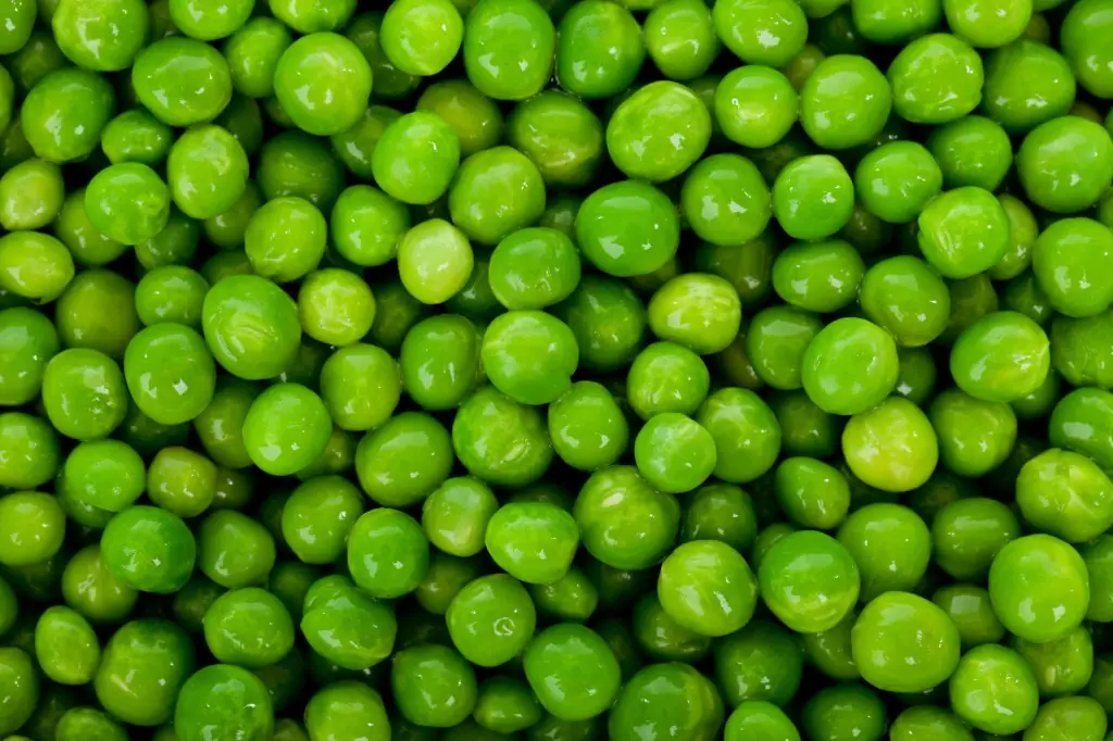 verdura