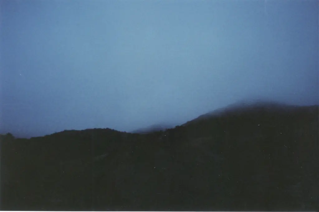 bleak/uncertain/beautiful