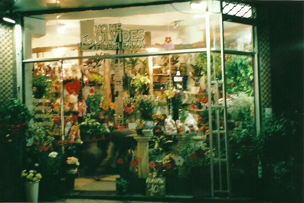 fotografia analogica