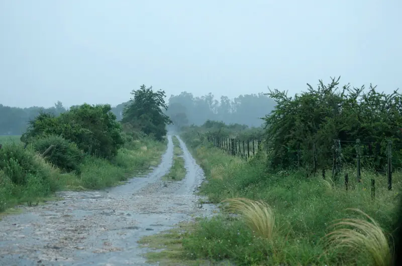 etapa 1