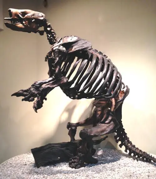 gigantesca